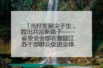 当好发展尖子生，蹚出共富新路子——省委全会部署激励江苏干部群众促进全体人民共同富裕