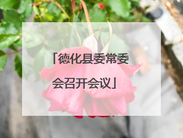 德化县委常委会召开会议