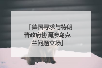 德国寻求与特朗普政府协调涉乌克兰问题立场