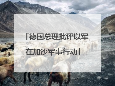 德国总理批评以军在加沙军事行动