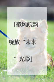 徽风皖韵绽放“未来”光彩
