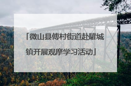 微山县傅村街道赴驩城镇开展观摩学习活动