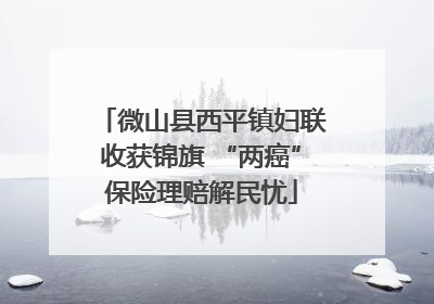 微山县西平镇妇联收获锦旗 “两癌”保险理赔解民忧