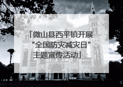 微山县西平镇开展“全国防灾减灾日”主题宣传活动