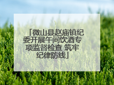 微山县赵庙镇纪委开展午间饮酒专项监督检查 筑牢纪律防线