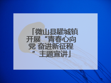 微山县驩城镇开展“青春心向党 奋进新征程”主题宣讲