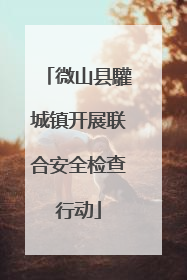 微山县驩城镇开展联合安全检查行动