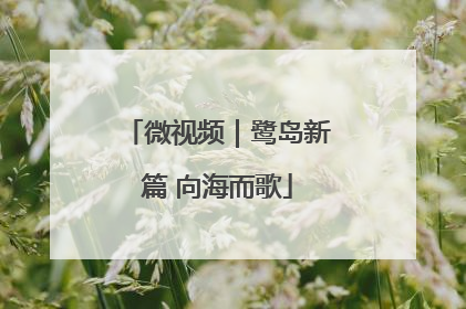 微视频｜鹭岛新篇 向海而歌