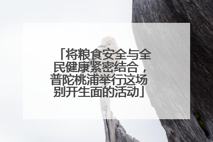 将粮食安全与全民健康紧密结合，普陀桃浦举行这场别开生面的活动