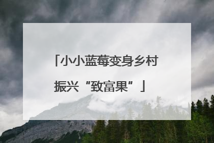 小小蓝莓变身乡村振兴“致富果”