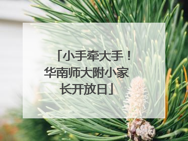 小手牵大手！华南师大附小家长开放日