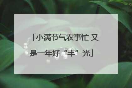 小满节气农事忙 又是一年好“丰”光