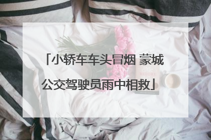 小轿车车头冒烟 蒙城公交驾驶员雨中相救