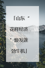 山东“花样经济”焕发蓬勃生机