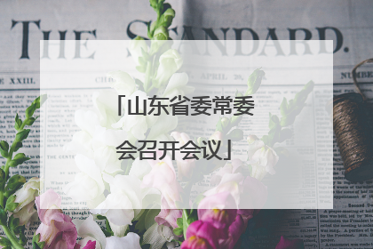 山东省委常委会召开会议