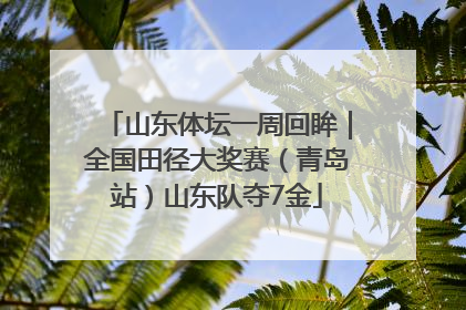 山东体坛一周回眸｜全国田径大奖赛（青岛站）山东队夺7金