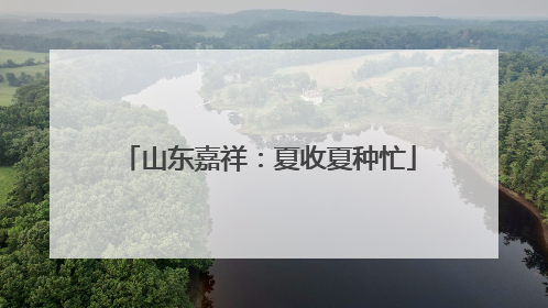 山东嘉祥：夏收夏种忙