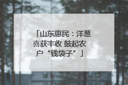 山东惠民：洋葱喜获丰收 鼓起农户“钱袋子”