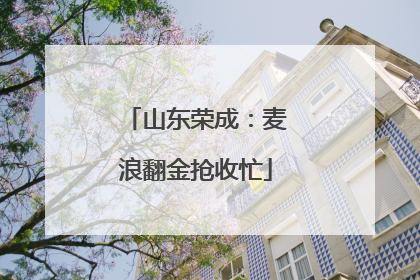 山东荣成：麦浪翻金抢收忙