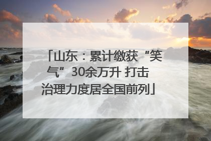 山东：累计缴获“笑气”30余万升 打击治理力度居全国前列