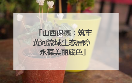 山西保德：筑牢黄河流域生态屏障 永葆美丽底色