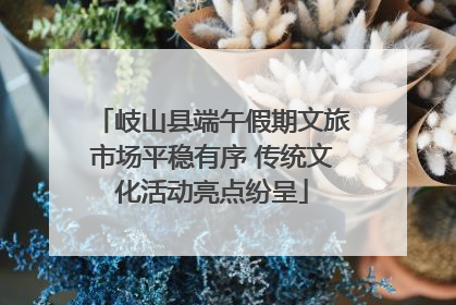 岐山县端午假期文旅市场平稳有序 传统文化活动亮点纷呈