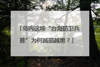 岛内这场“台海防卫兵推”为何越描越黑？