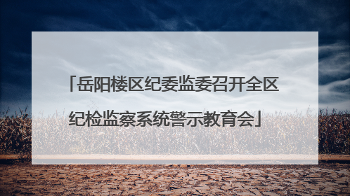 岳阳楼区纪委监委召开全区纪检监察系统警示教育会