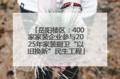 岳阳楼区：400家家装企业参与2025年家装厨卫“以旧换新”民生工程