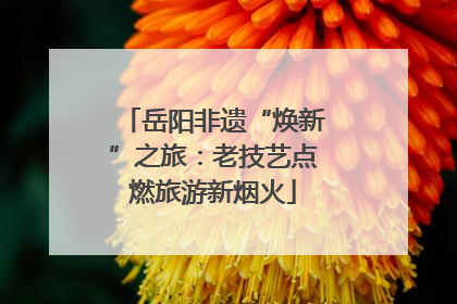 岳阳非遗“焕新”之旅：老技艺点燃旅游新烟火