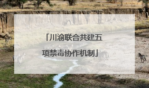 川渝联合共建五项禁毒协作机制