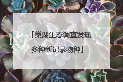巢湖生态调查发现多种新记录物种