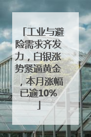 工业与避险需求齐发力，白银涨势紧逼黄金，本月涨幅已逾10%