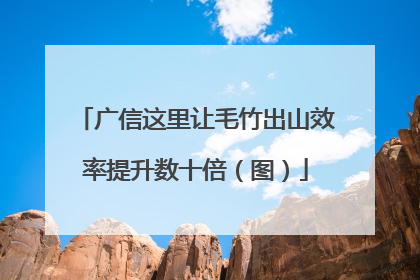 广信这里让毛竹出山效率提升数十倍（图）