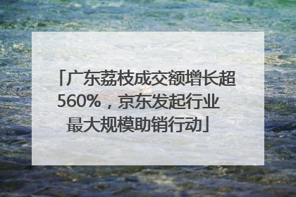 广东荔枝成交额增长超560%，京东发起行业最大规模助销行动