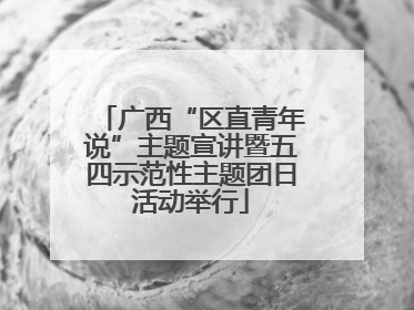 广西“区直青年说”主题宣讲暨五四示范性主题团日活动举行