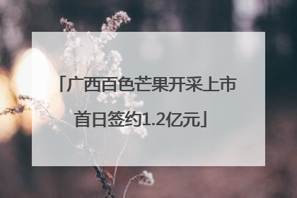 广西百色芒果开采上市 首日签约1.2亿元