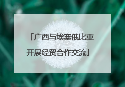 广西与埃塞俄比亚开展经贸合作交流