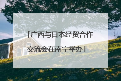 广西与日本经贸合作交流会在南宁举办