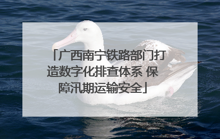 广西南宁铁路部门打造数字化排查体系 保障汛期运输安全