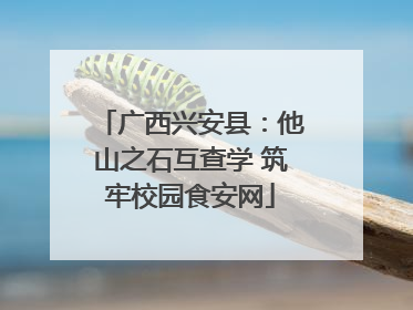 广西兴安县：他山之石互查学 筑牢校园食安网