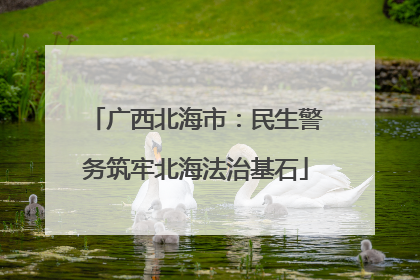 广西北海市：民生警务筑牢北海法治基石