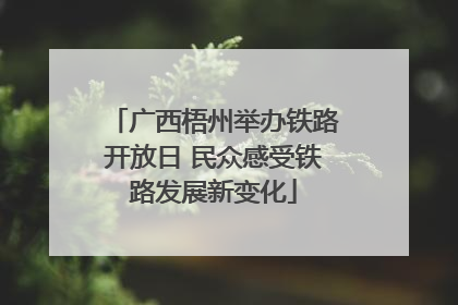广西梧州举办铁路开放日 民众感受铁路发展新变化