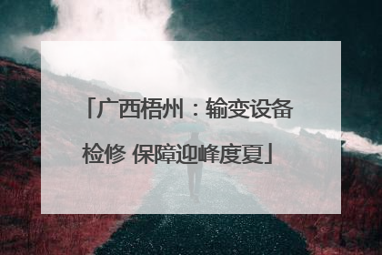 广西梧州：输变设备检修 保障迎峰度夏