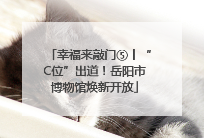幸福来敲门⑤丨“C位”出道！岳阳市博物馆焕新开放