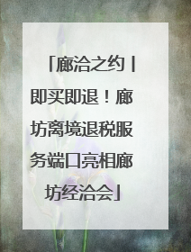廊洽之约丨即买即退！廊坊离境退税服务端口亮相廊坊经洽会