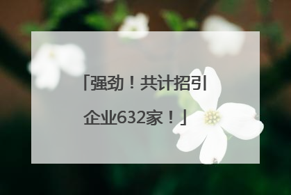 强劲！共计招引企业632家！