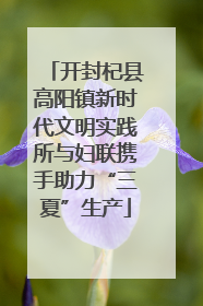 开封杞县高阳镇新时代文明实践所与妇联携手助力“三夏”生产
