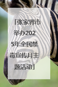 张家界市举办2025年全民禁毒宣传月主题活动