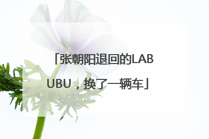 张朝阳退回的LABUBU，换了一辆车
